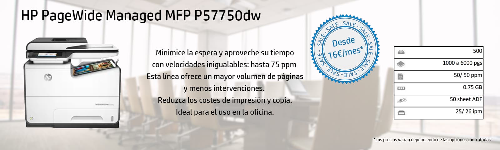 Partner oficial de HP